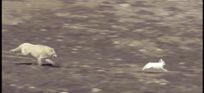 메끼의 드리블 .gif | 인스티즈