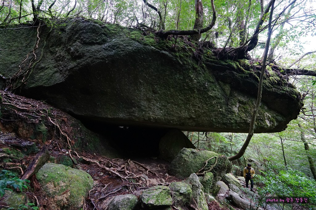 일본 바이크 투어 D+29 | 인스티즈