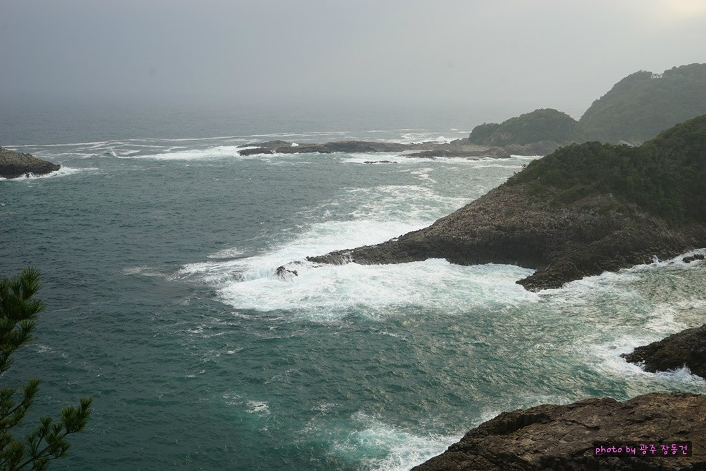 일본 바이크 투어 D+26 | 인스티즈