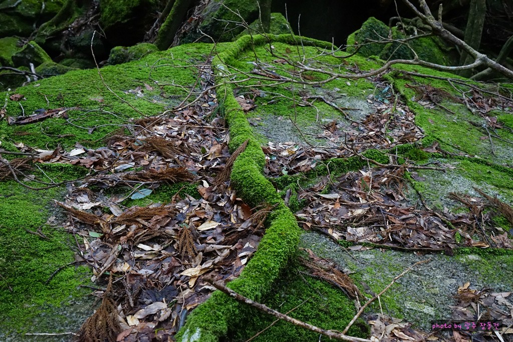 일본 바이크 투어 D+29 | 인스티즈