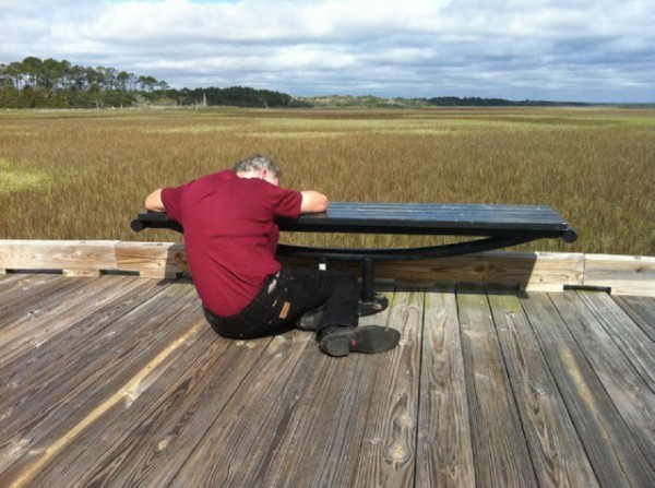 플로리다 고양이 낙원의 비극 | 인스티즈