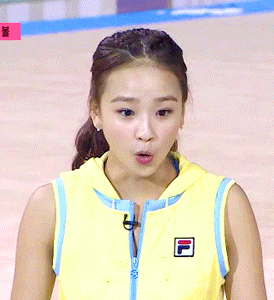 개 키우는 개 | 인스티즈