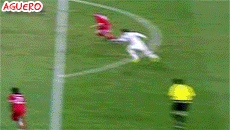 존테리와 비디치.gif | 인스티즈