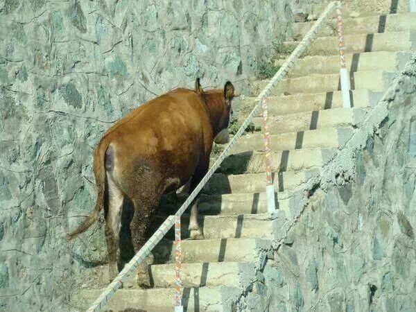 [좀비&잔인주의] Necrophilia Dance Team | 인스티즈
