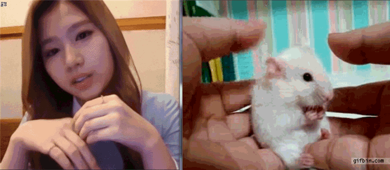 [트와이스] 모모 혈액형 스포하는 사람쥐 GIF | 인스티즈