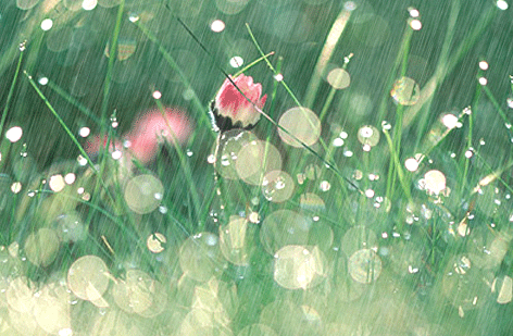 장범준 이번 앨범에서 저는 이 노래가 참 좋네요 | 인스티즈