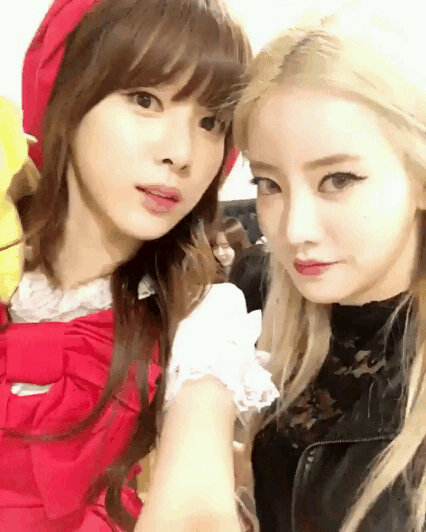 [프로듀스101] 이해인 취향 반영 | 인스티즈