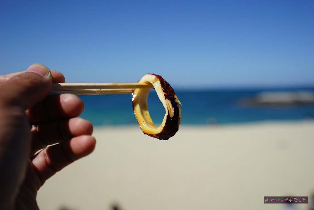 일본 바이크 투어 D+39 | 인스티즈