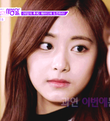 [트와이스] 태양의 후예 패러디 태양의 후식 ㅋㅋ | 인스티즈