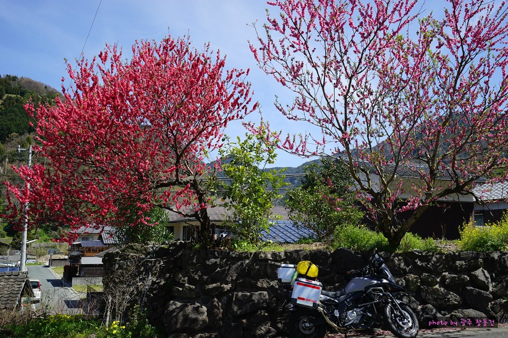 일본 바이크 투어 D+40 | 인스티즈