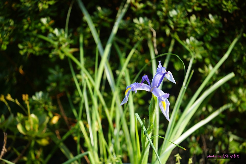 일본 바이크 투어 D+37,38 | 인스티즈