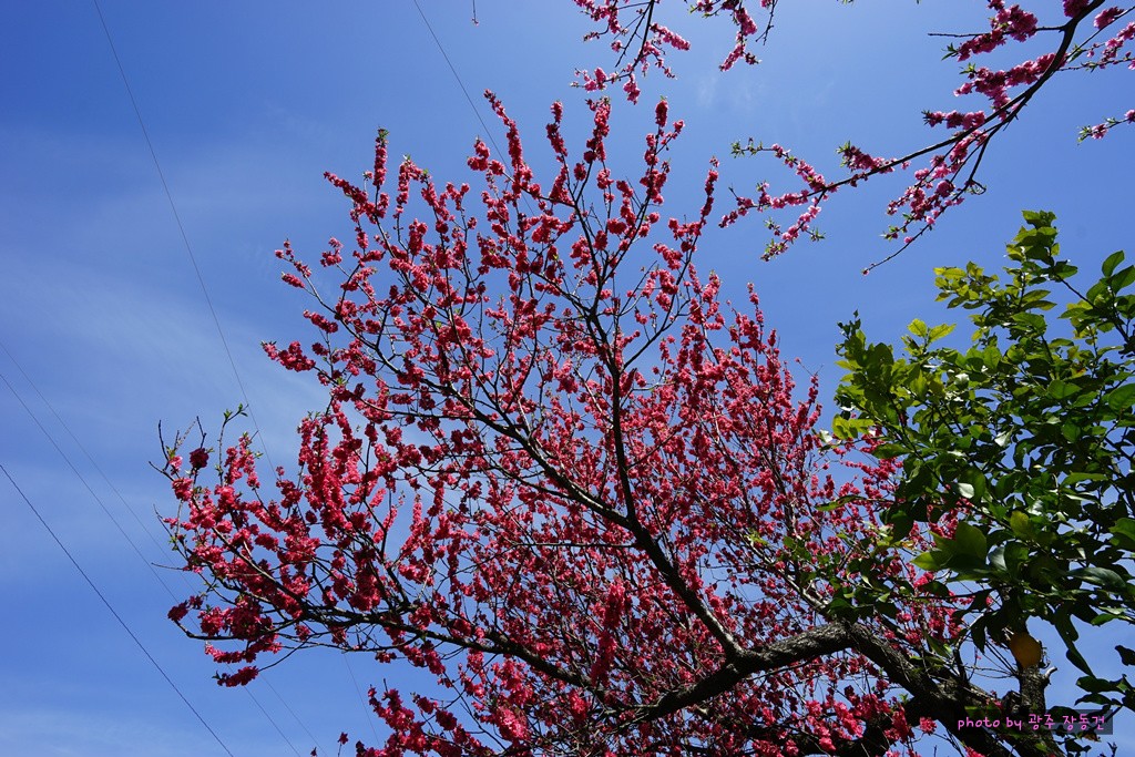 일본 바이크 투어 D+40 | 인스티즈