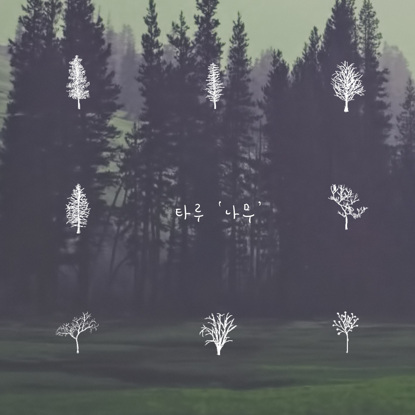 [미리듣기] 타루(Taru) - 나무 | 인스티즈