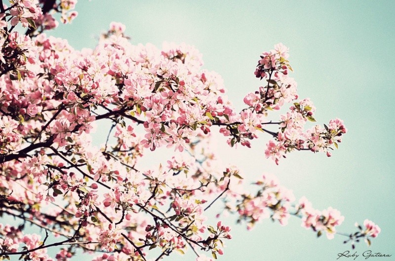  봄이 왔어요~ | 인스티즈