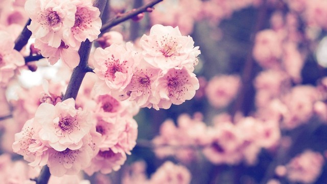  봄이 왔어요~ | 인스티즈