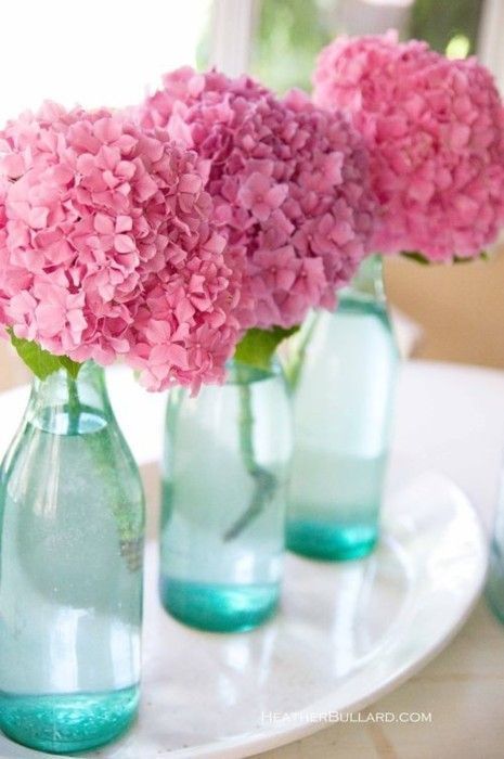  봄이 왔어요~ | 인스티즈