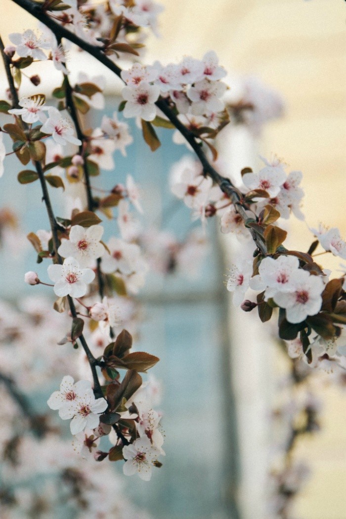  봄이 왔어요~ | 인스티즈