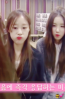 [러블리즈] 너무 착하고 예쁜 베이비소울을 소개합니다 | 인스티즈