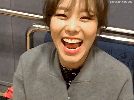 마마무 휘인 움짤 털이 | 인스티즈