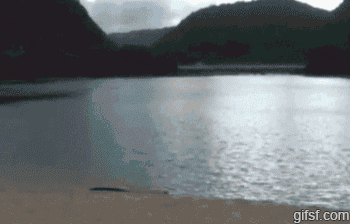 해변에서 서핑 하는 법 | 인스티즈