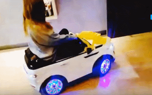 마마무 휘인 움짤 털이 | 인스티즈