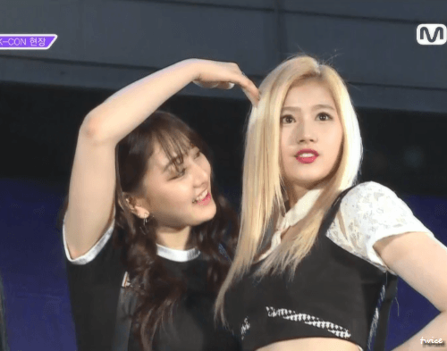 플라잉 요가하는 사나 채영 쯔위 | 인스티즈