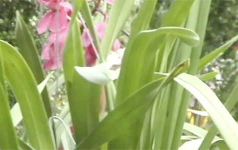 러블리즈 "A New Trilogy"티저 움짤.gif | 인스티즈