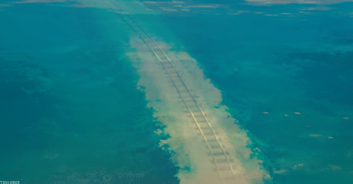 제 인생애니에요 | 인스티즈