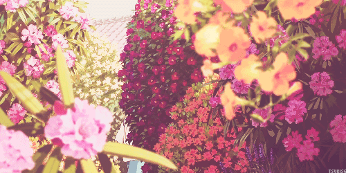 제 인생애니에요 | 인스티즈