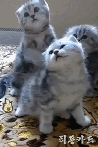 오늘 슈가맨에서 픽미 춤추는 ioi멤버들 | 인스티즈