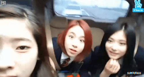 등교하는 트와이스 급식단.gif | 인스티즈