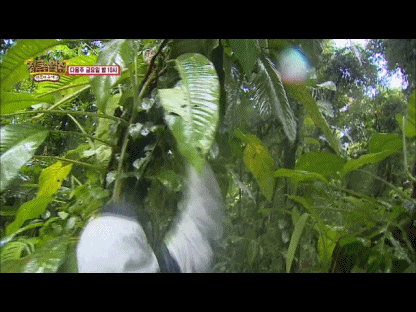 [에이핑크] 드디어 뜬 오하영 정글의 법칙 다음주 예고 (feat.내가 너 딴다) | 인스티즈