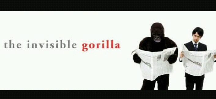 해치지 않아요. 재미있는 심리학 실험 - 1. 명탐정 뒤팽은 찾고, D장관은 찾지못한 편지 | 인스티즈