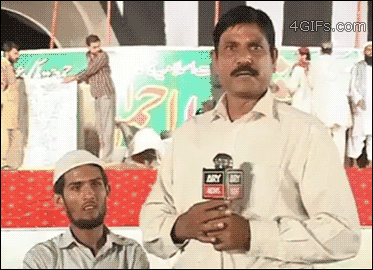 핏불에게 살해당한 아기 물개.swf | 인스티즈