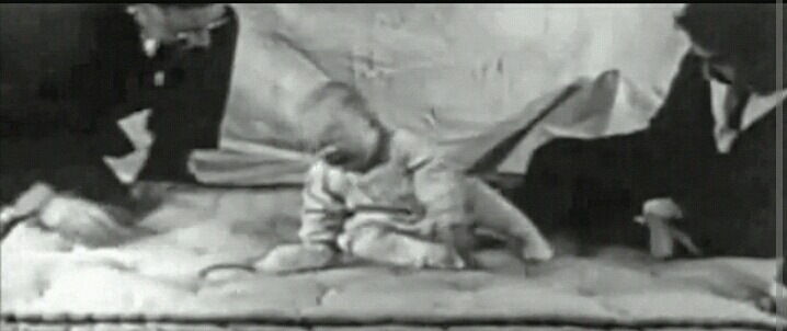 심리학 10대 비윤리적 실험 5. 토끼와 아기 그리고 공포 - 공포 조건 형성 실험 | 인스티즈