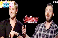 캡틴아메리카(크리스에반스)와 호크아이(제레미레너)가 비호감이 된 이유정리 | 인스티즈