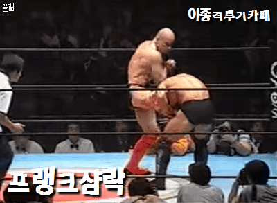 약혐) 스페인 거리투우 축제 위험모음 | 인스티즈