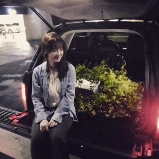 안재현이 구혜선에게 프로포즈한 꽃말ㄷㄷ | 인스티즈