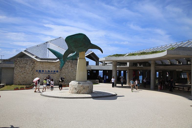 아쿠아리움에 백상아리가 없는 이유 | 인스티즈