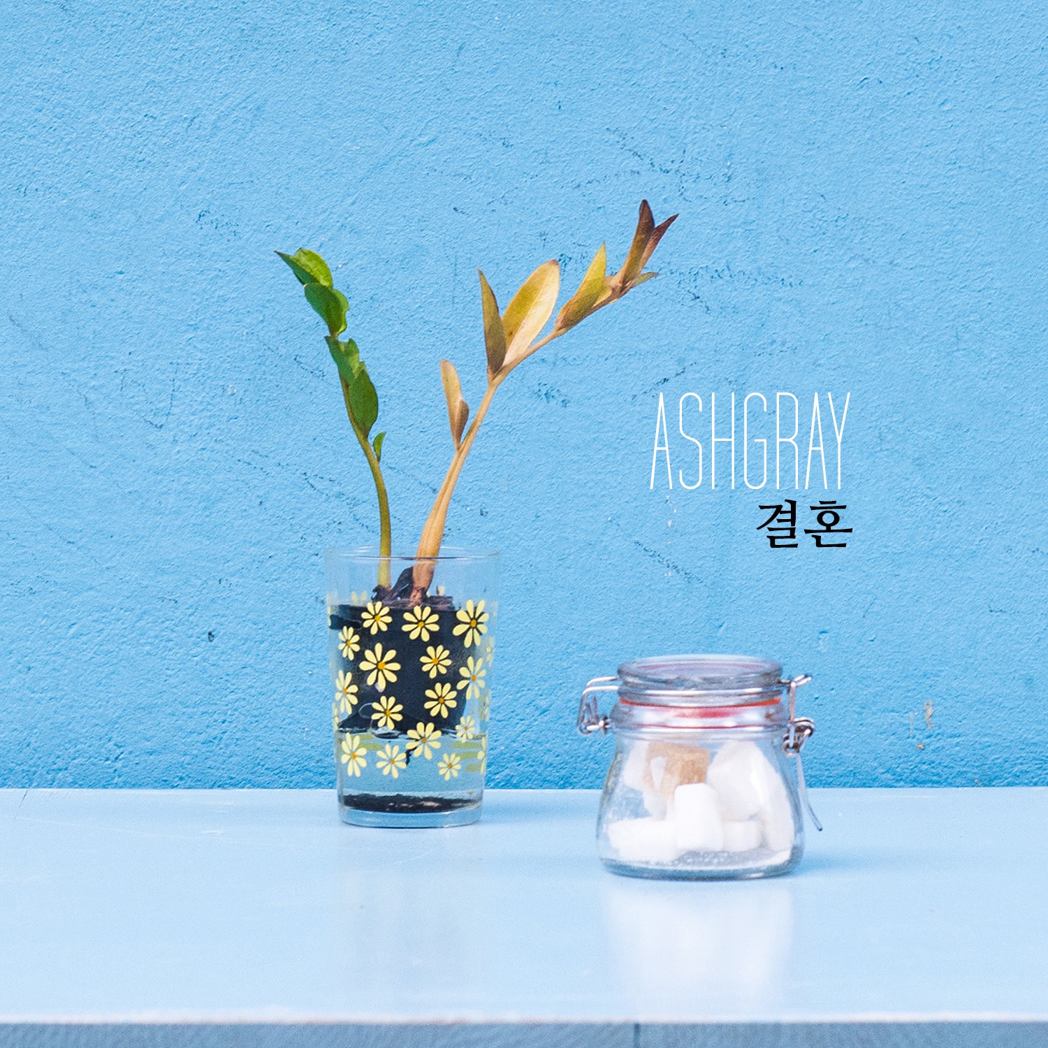 [미리듣기] ASHGRAY(애쉬그레이) - ASHGRAY DIGITAL SINGLE '결혼(2016 ver.)' | 인스티즈