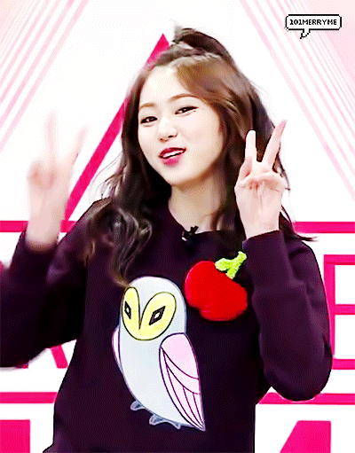 프잘알인 제가 뽑은 프로듀스 101 TOP 10.JPG | 인스티즈