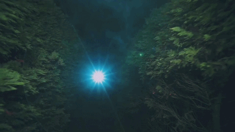 [데이터주의] 오마이걸 - WINDY DAY 티저 영상+움짤 | 인스티즈