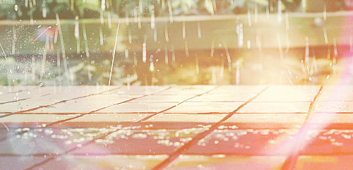 비오는거 좋아하시는 분 | 인스티즈