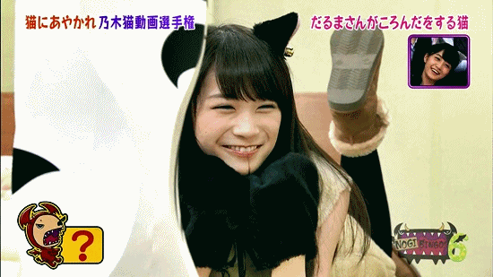 정좌하는 고양이 | 인스티즈