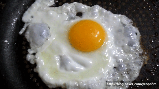 계란 후라이 | 인스티즈