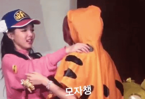 [트와이스] 아기맹수와 사랑에 빠진 토끼 | 인스티즈