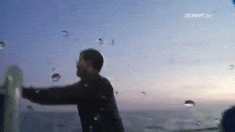 아쿠아리움에 백상아리가 없는 이유 | 인스티즈