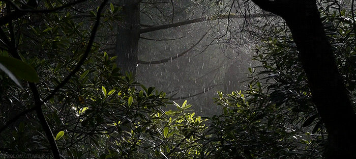 비오는거 좋아하시는 분 | 인스티즈