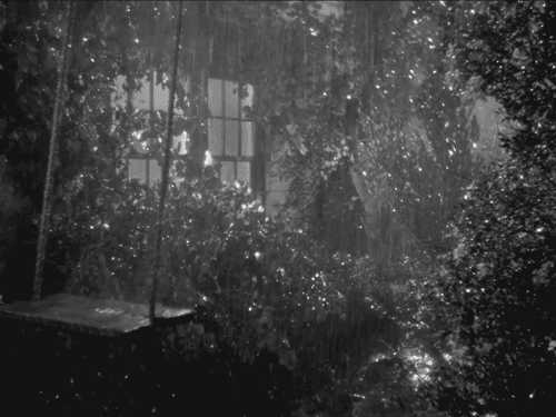 비오는거 좋아하시는 분 | 인스티즈