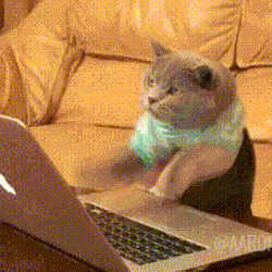 디템포(Detempo) - 새타령(닭전) Official MV | 인스티즈